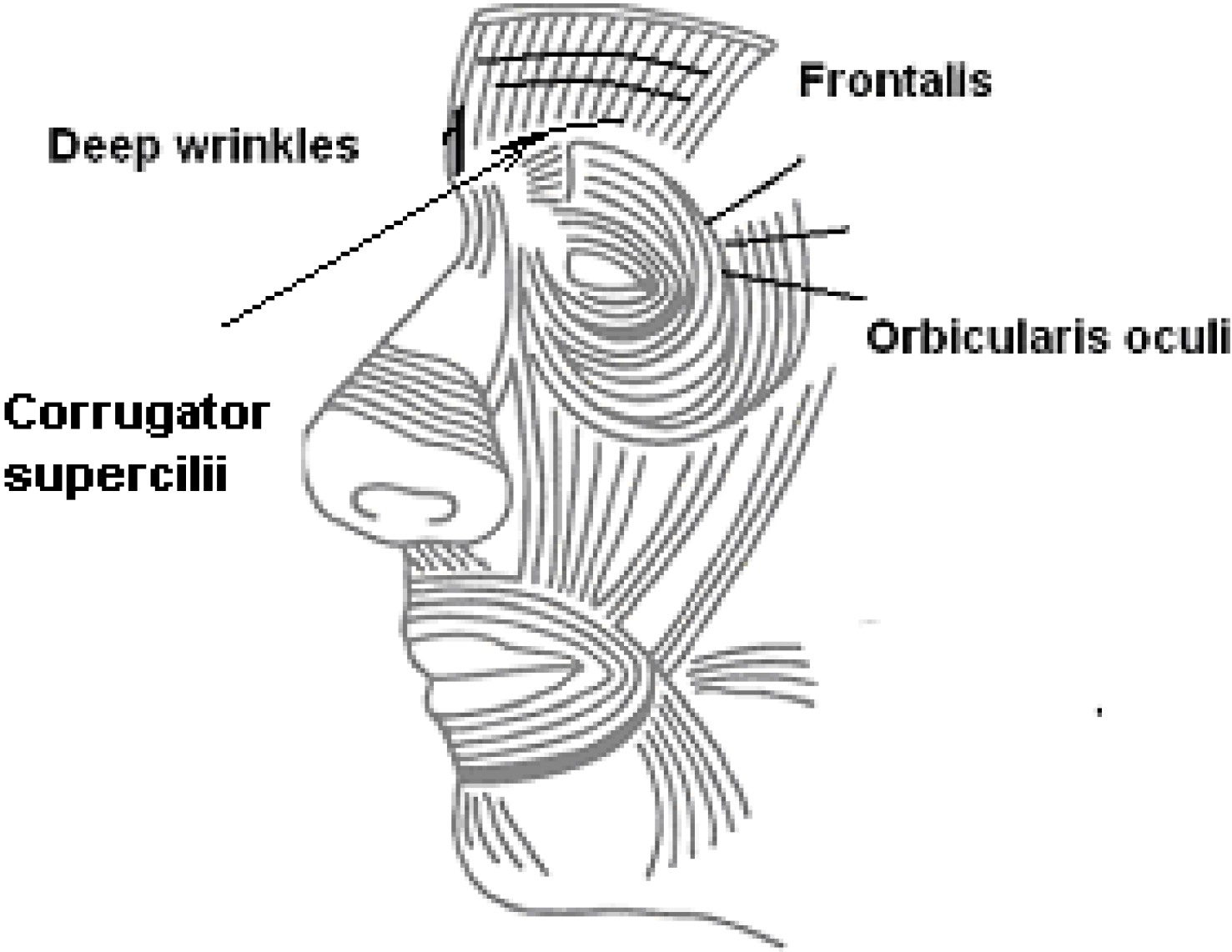 Cosmetics 01 00075 g001 1024
