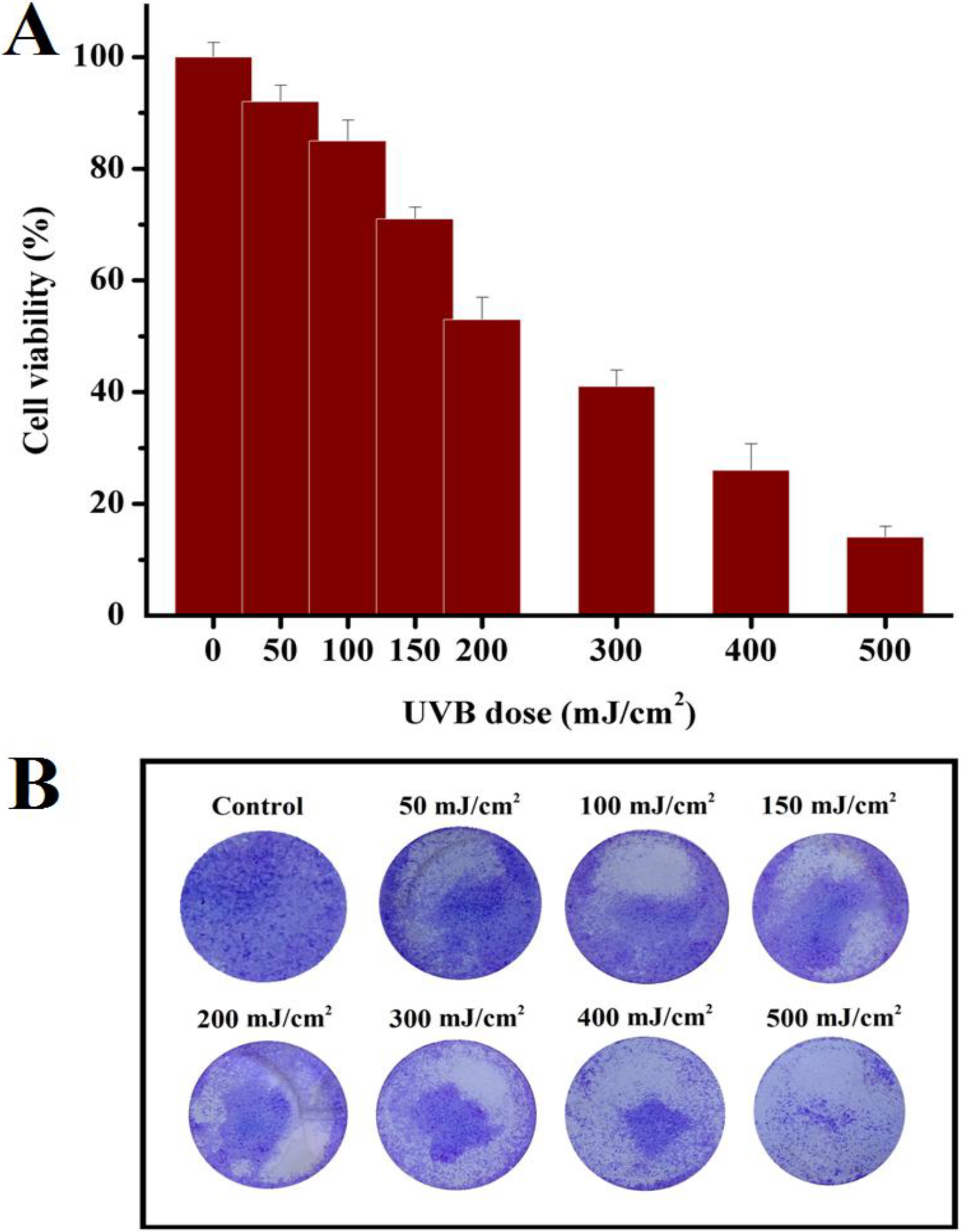 Cosmetics 01 00159 g001