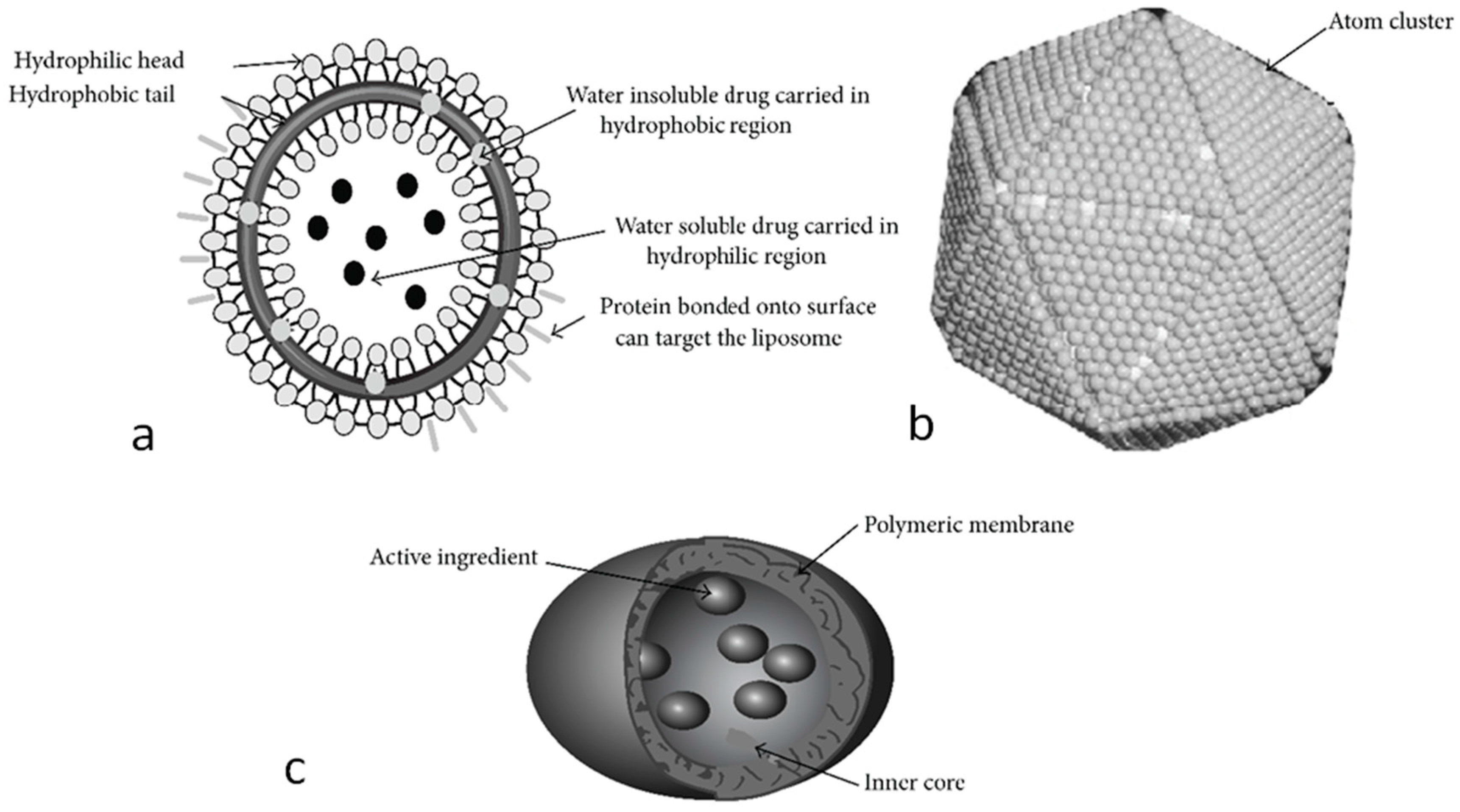 Cosmetics 02 00342 g001