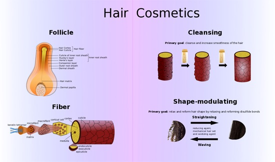 btc trucking that does hair follicle btc trucking that does hair follicle