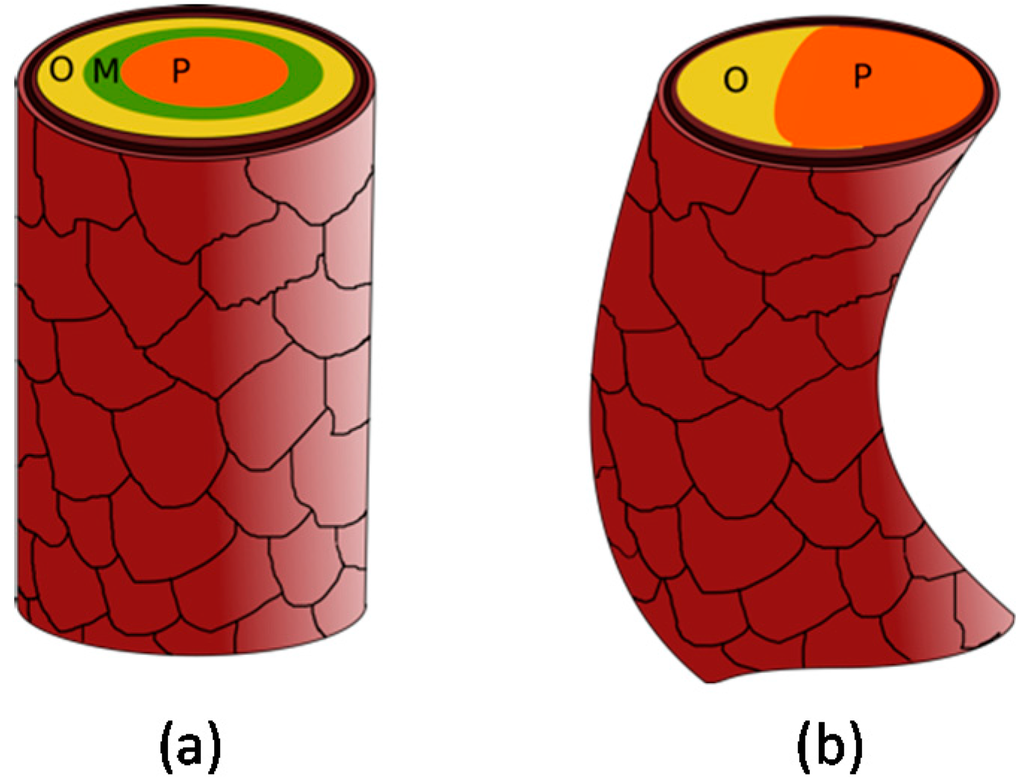 Scientists Find New Component In Human Hair