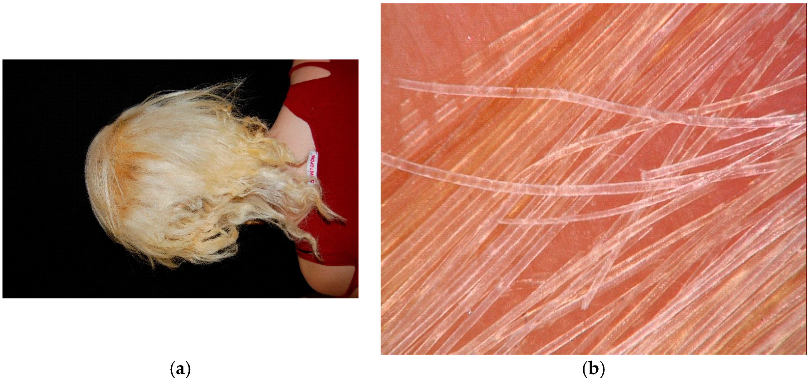 Cosmetics | Free Full-Text | Essential of Hair Care Cosmetics Cosmetics | Free Full-Text | Essential of Hair Care Cosmetics