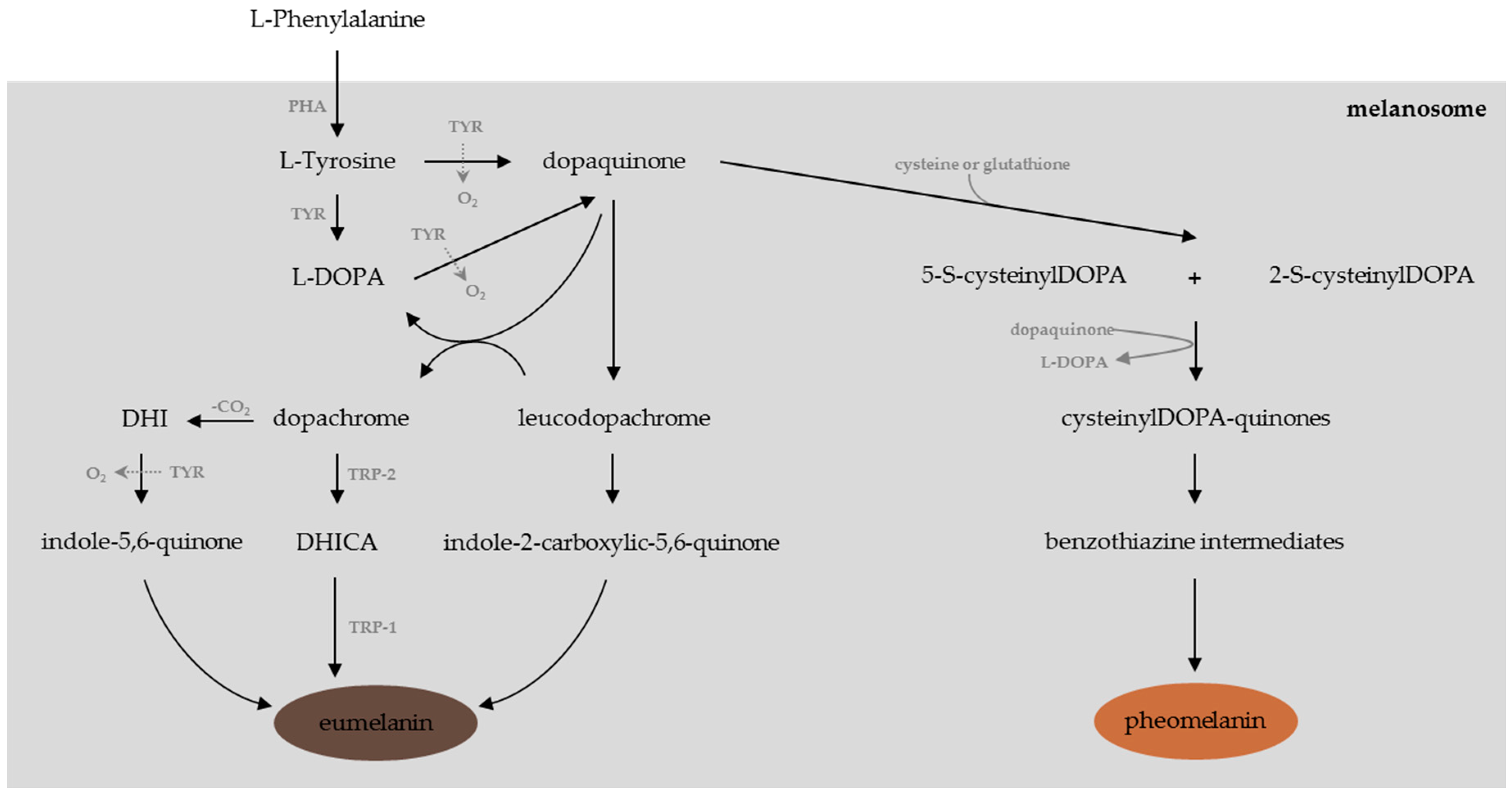 Cosmetics 03 00036 g001 550