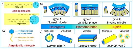 lipid emulsion lipid emulsion