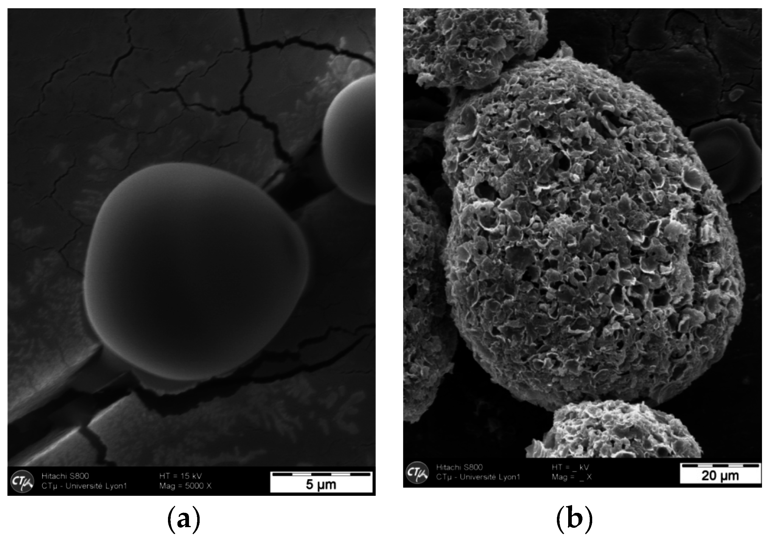 Cosmetics 03 00038 g002 550