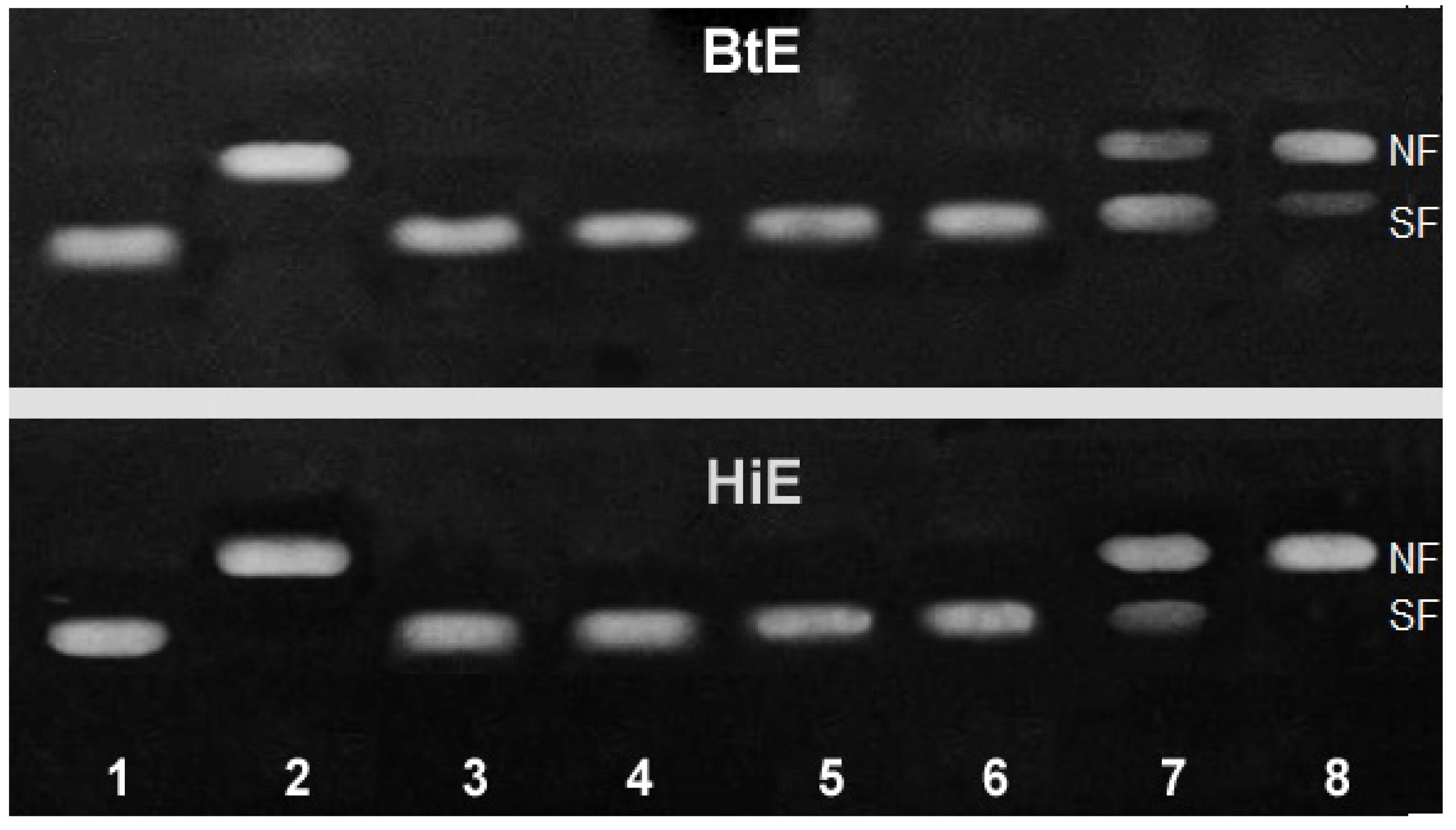 Cosmetics 04 00023 g001