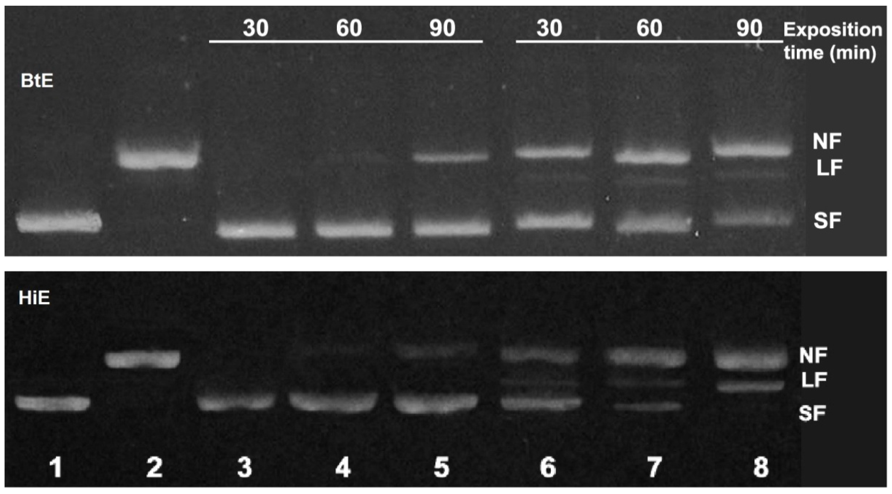 Cosmetics 04 00023 g002
