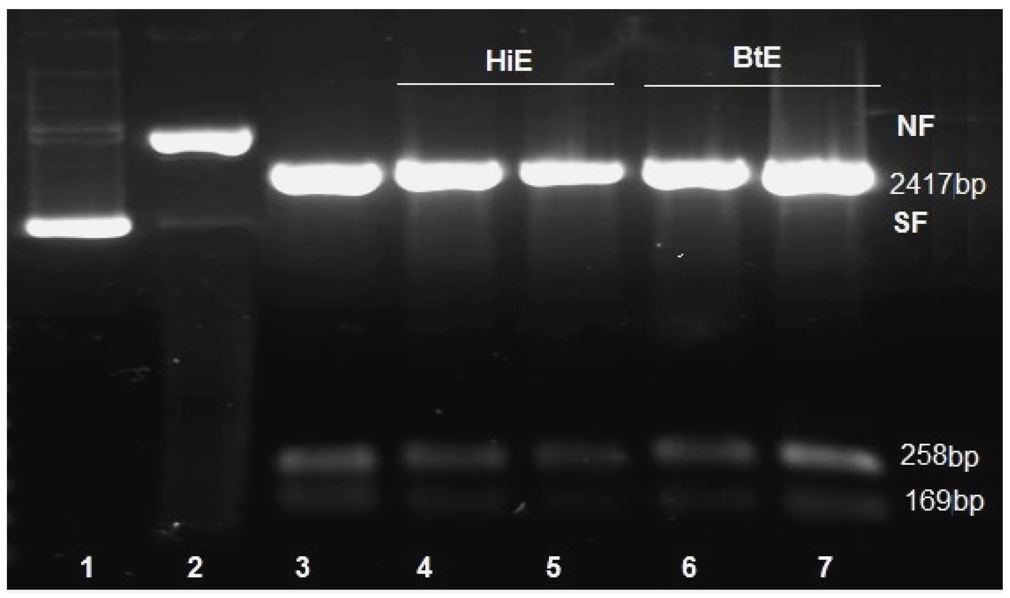 Cosmetics 04 00023 g003