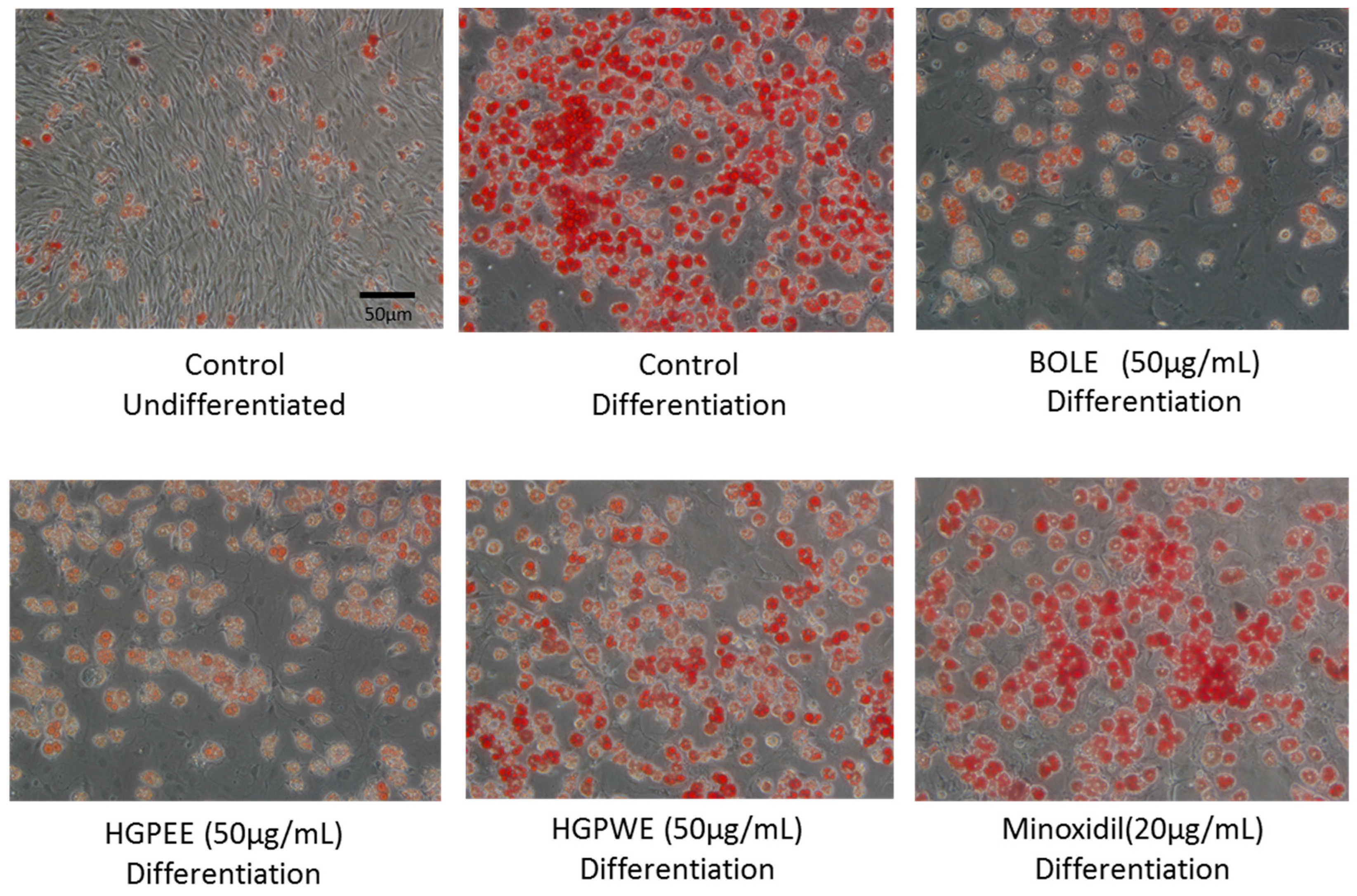 Cosmetics 04 00029 g002