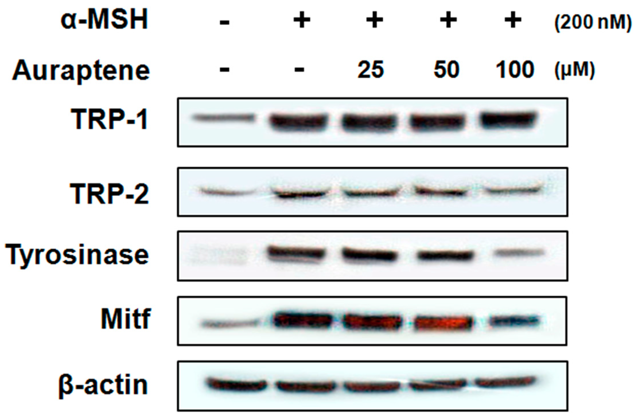 Cosmetics 04 00034 g003 550