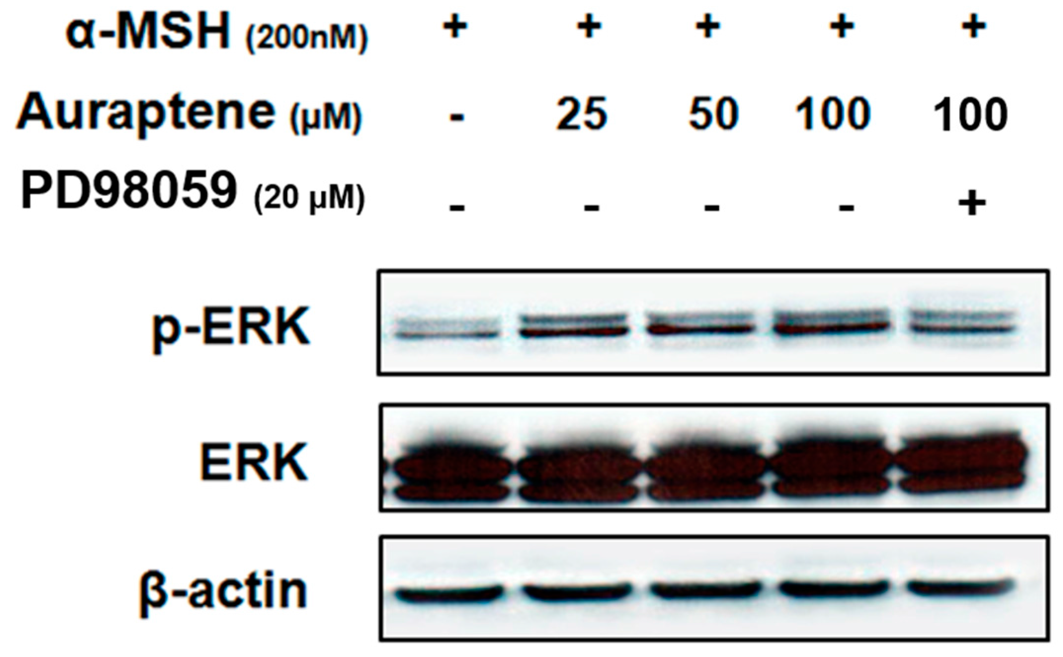 Cosmetics 04 00034 g004 550