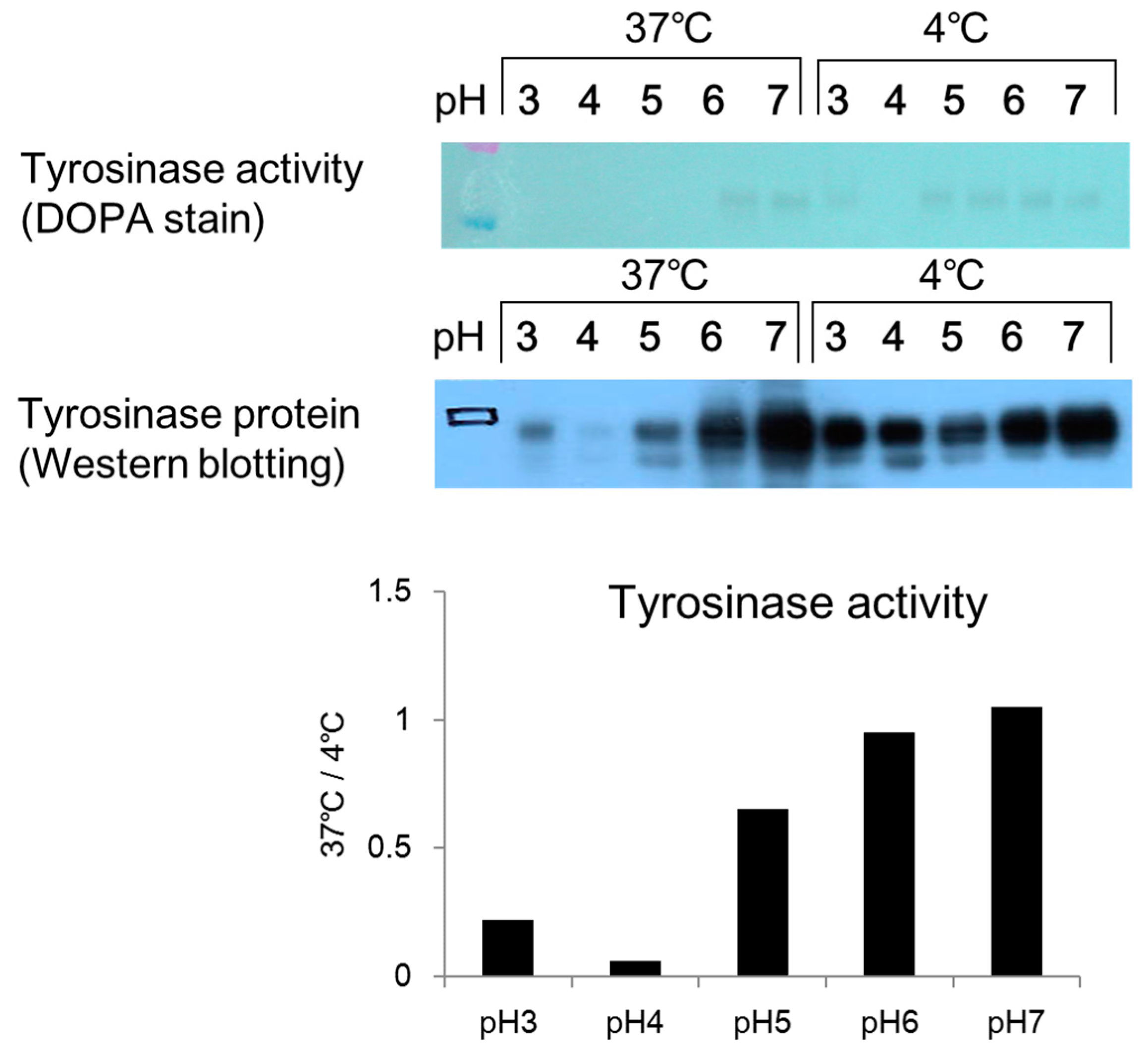 Cosmetics 04 00043 g001 550