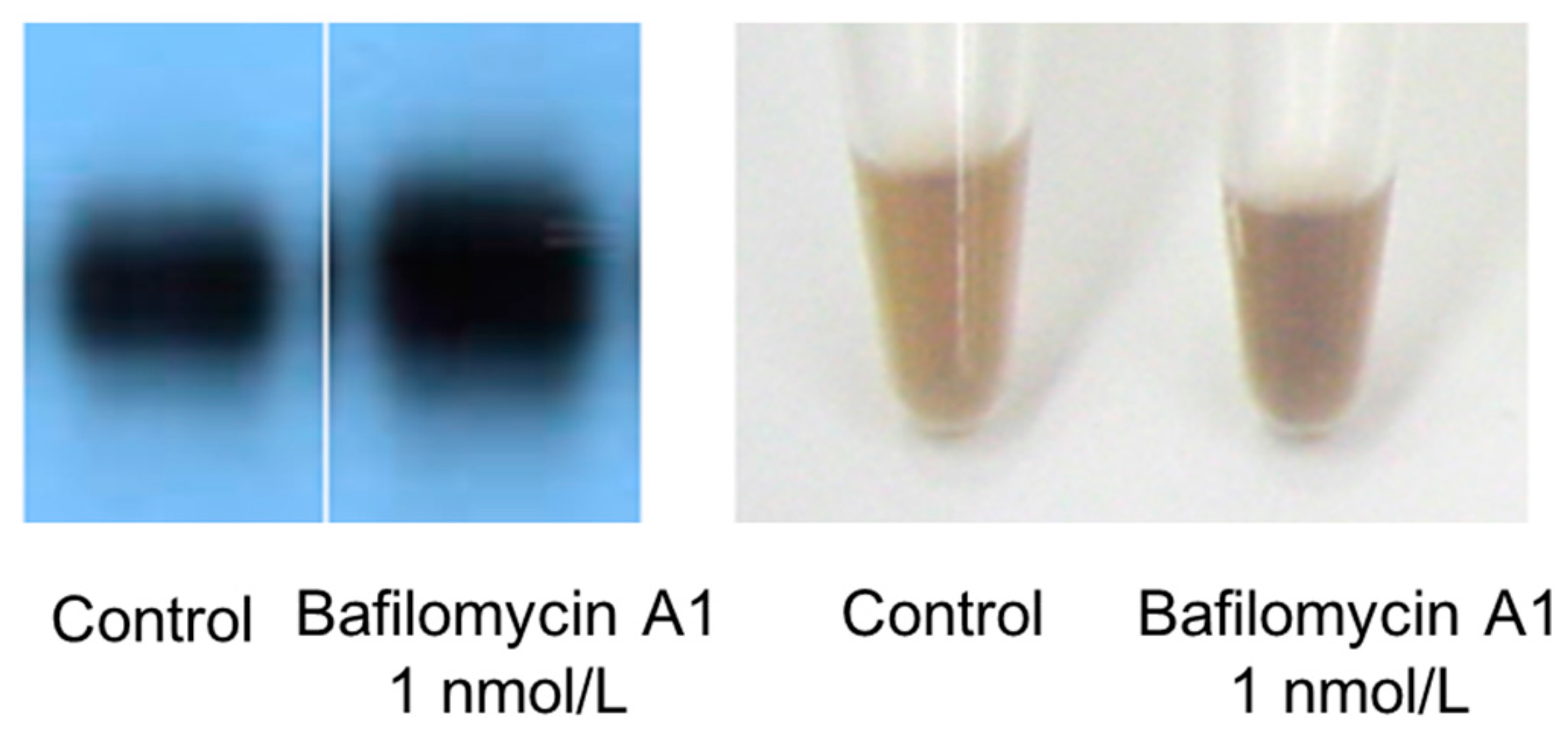 Cosmetics 04 00043 g002 550