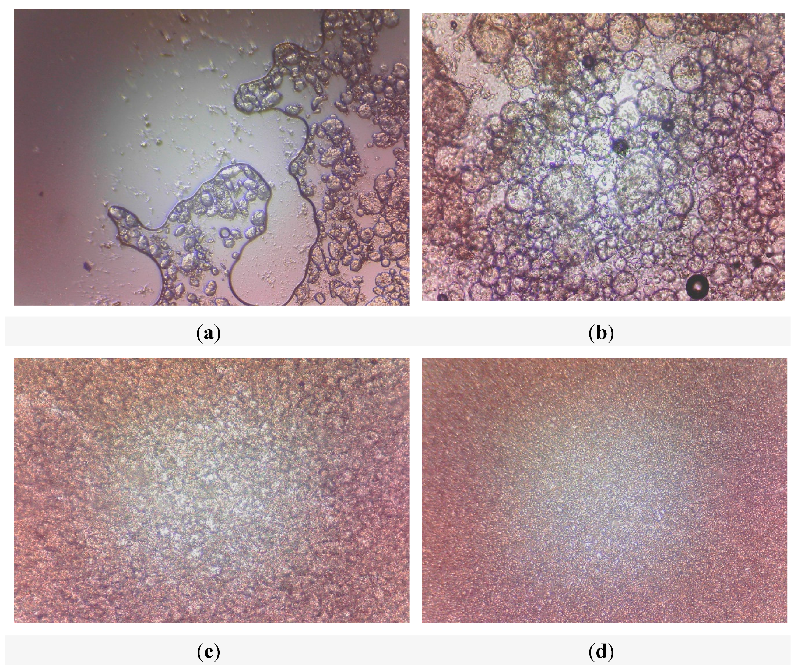 Cosmetics 05 00007 g007 550