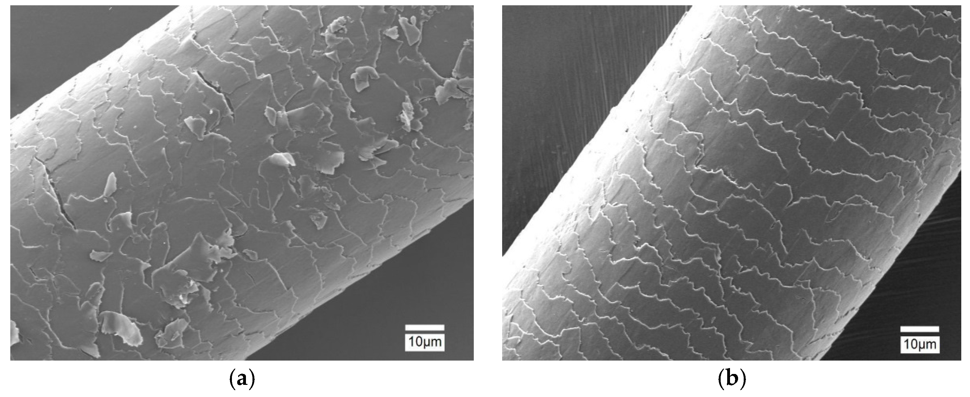 Cosmetics | Free Full-Text | Pollution Damage and Protection of Asian Hair Cosmetics | Free Full-Text | Pollution Damage and Protection of Asian Hair