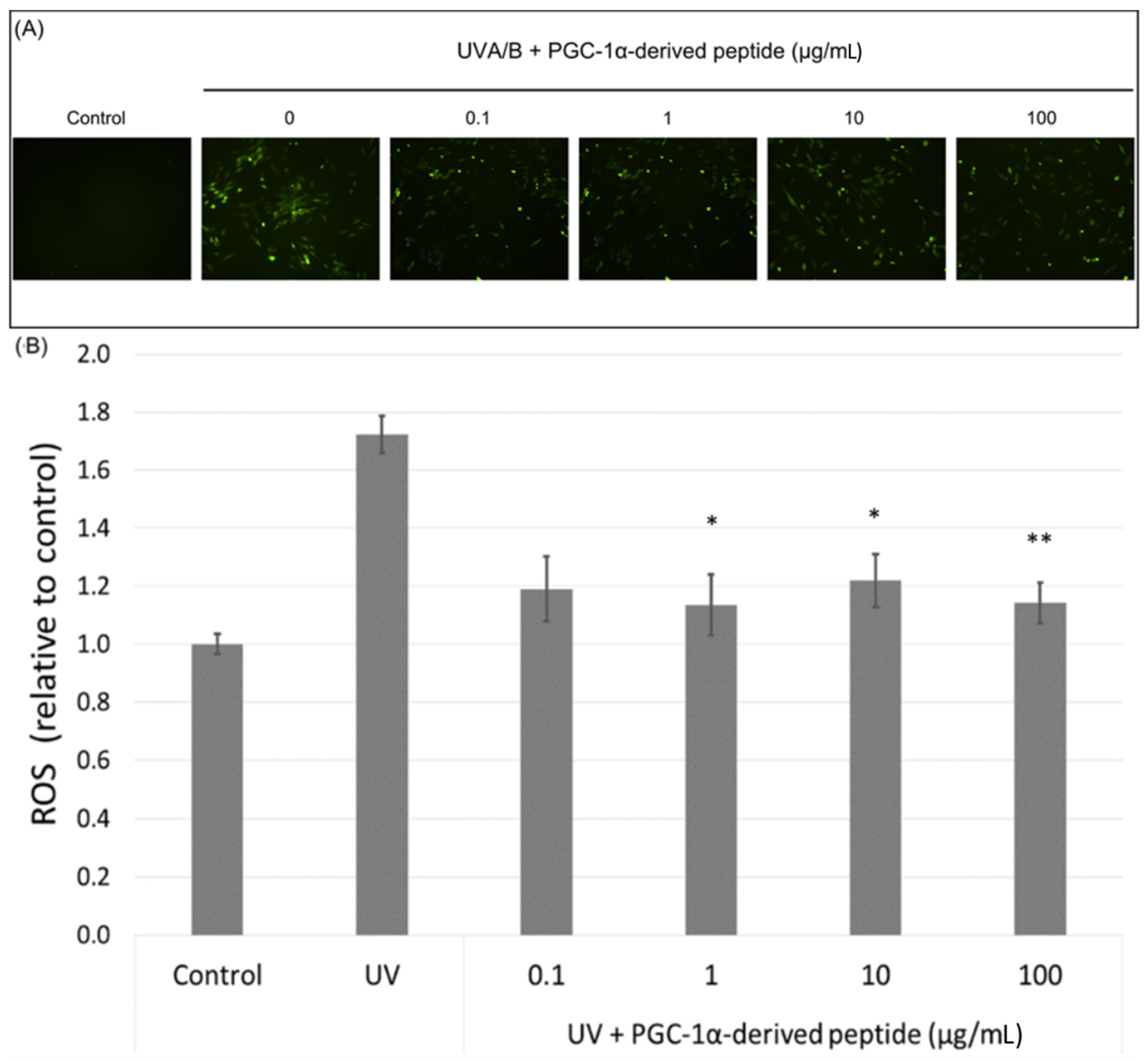 Cosmetics 05 00018 g006