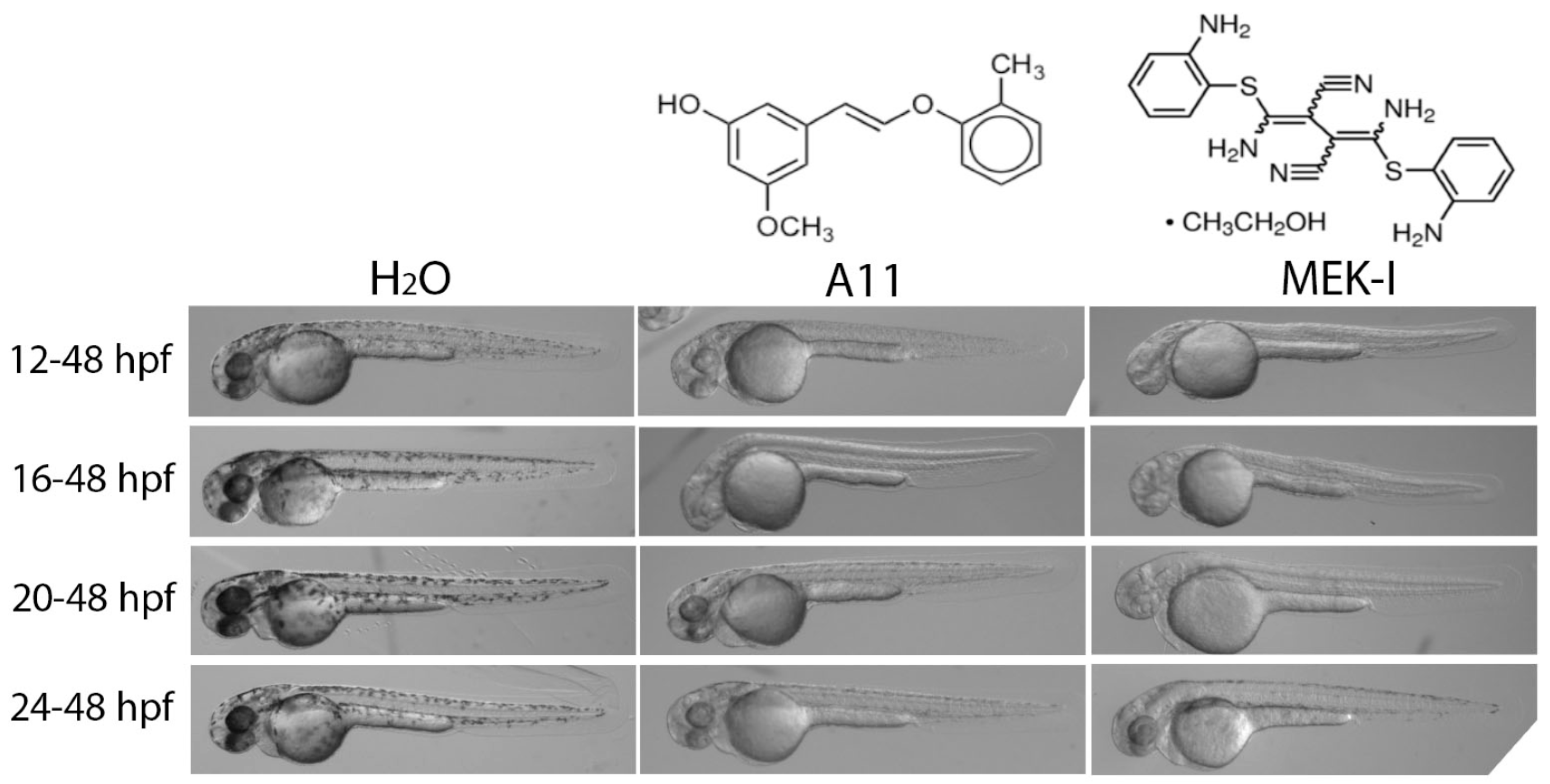 Cosmetics 05 00045 g001