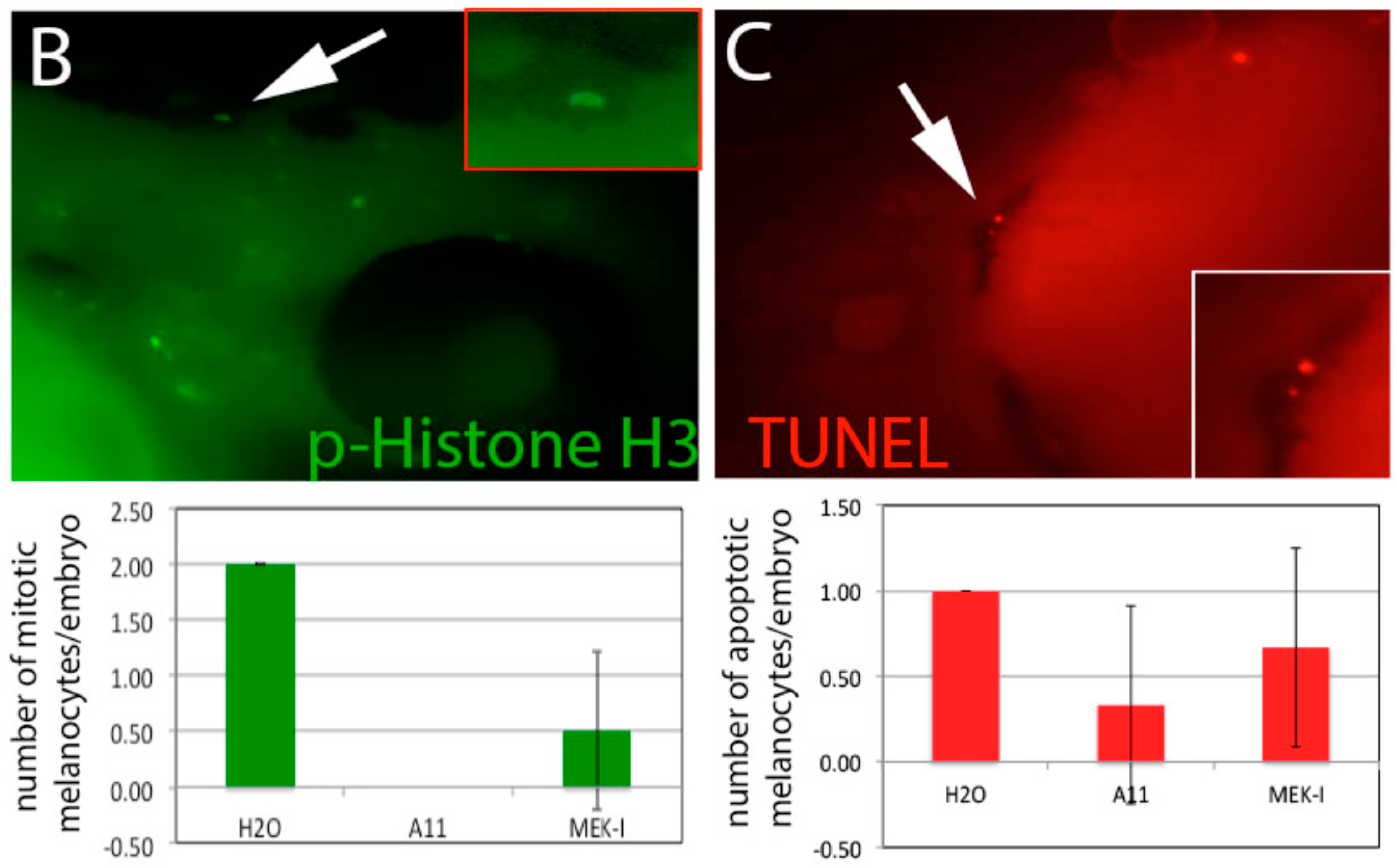 Cosmetics 05 00045 g007b