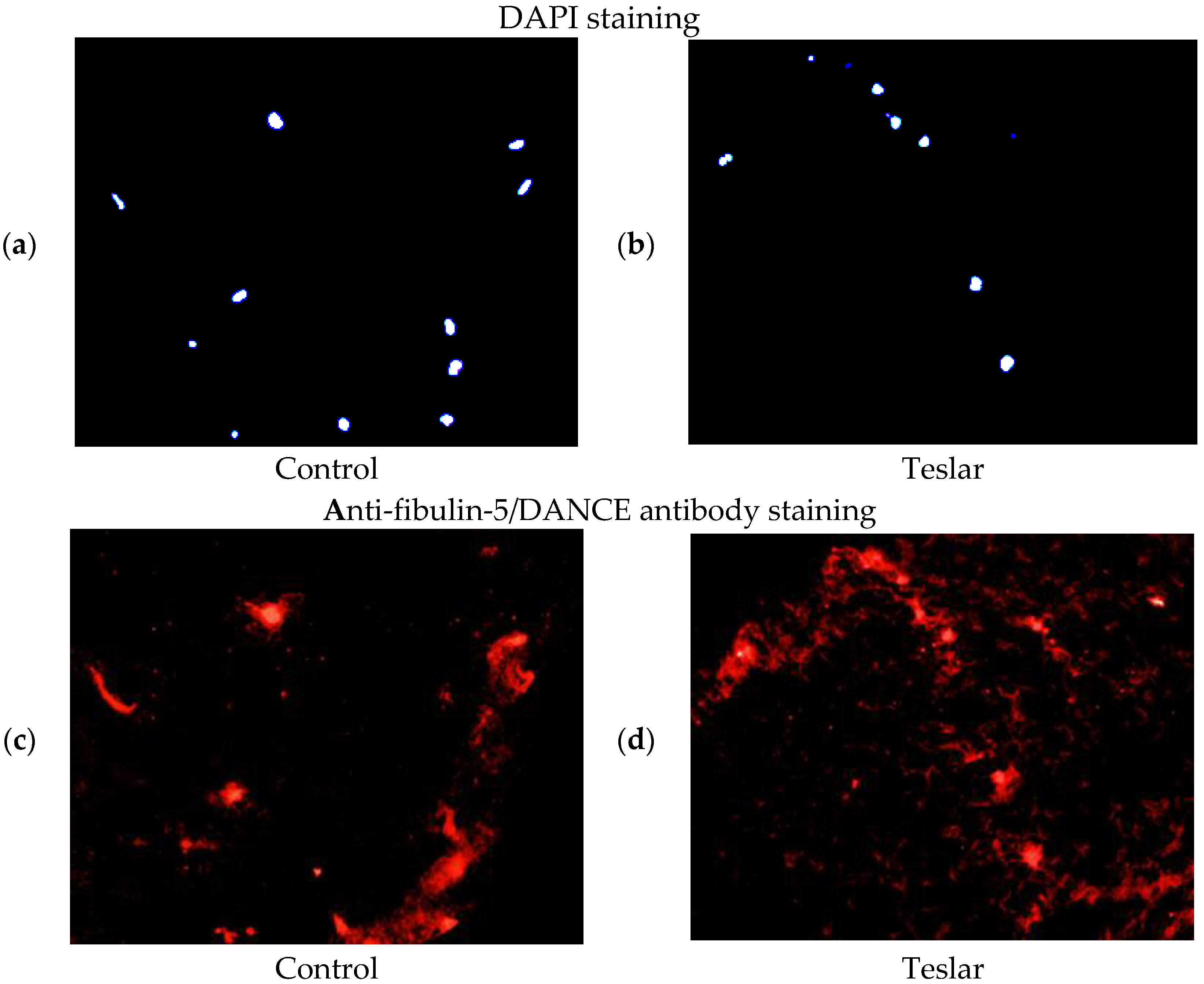 Cosmetics 05 00049 g006