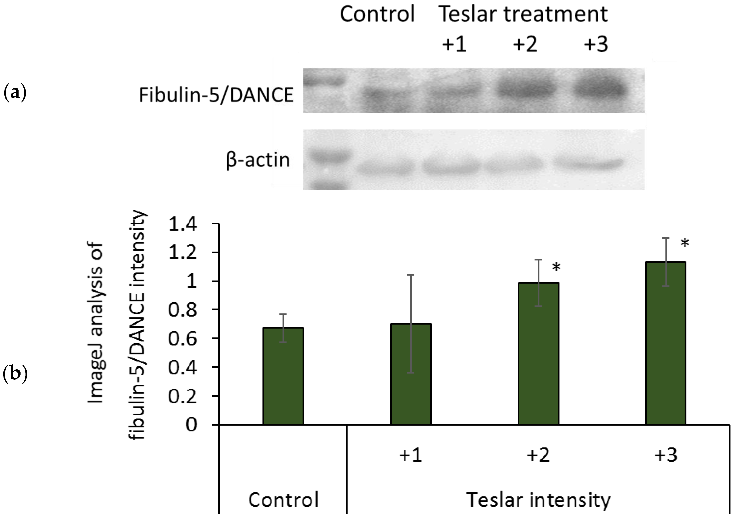 Cosmetics 05 00049 g007