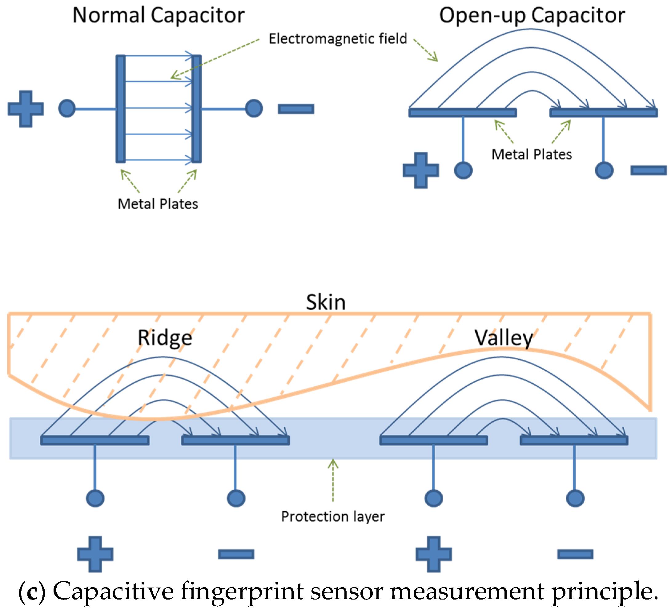 Cosmetics 05 00052 g001b