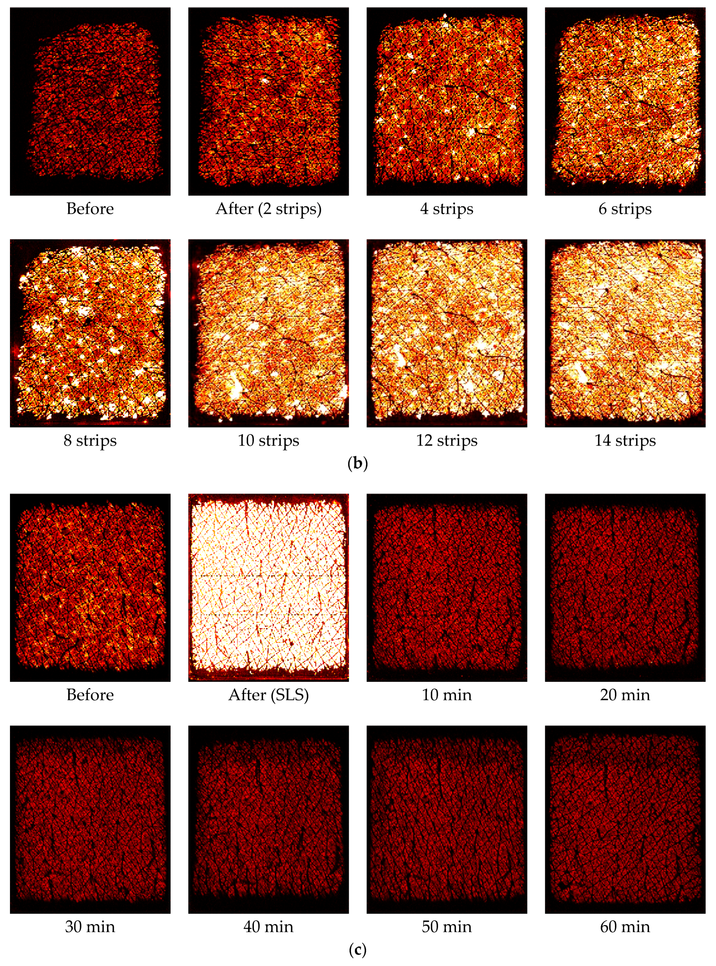 Cosmetics 05 00052 g005b