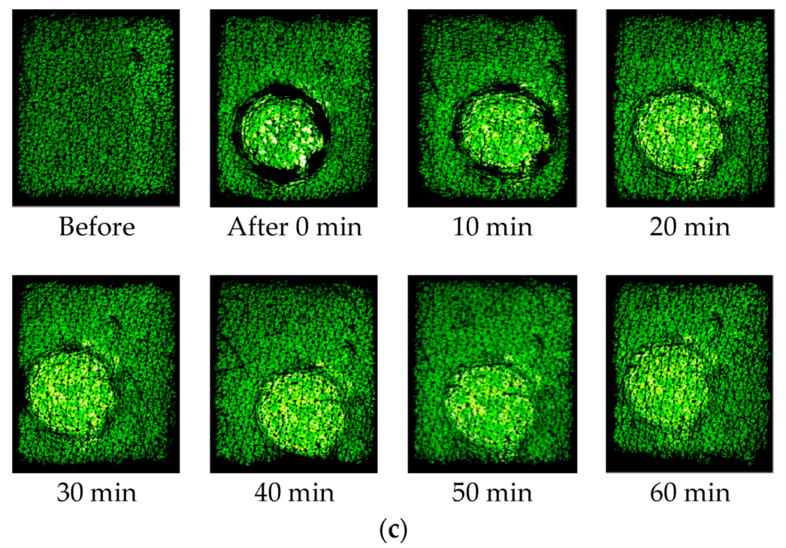 Cosmetics 05 00052 g006b