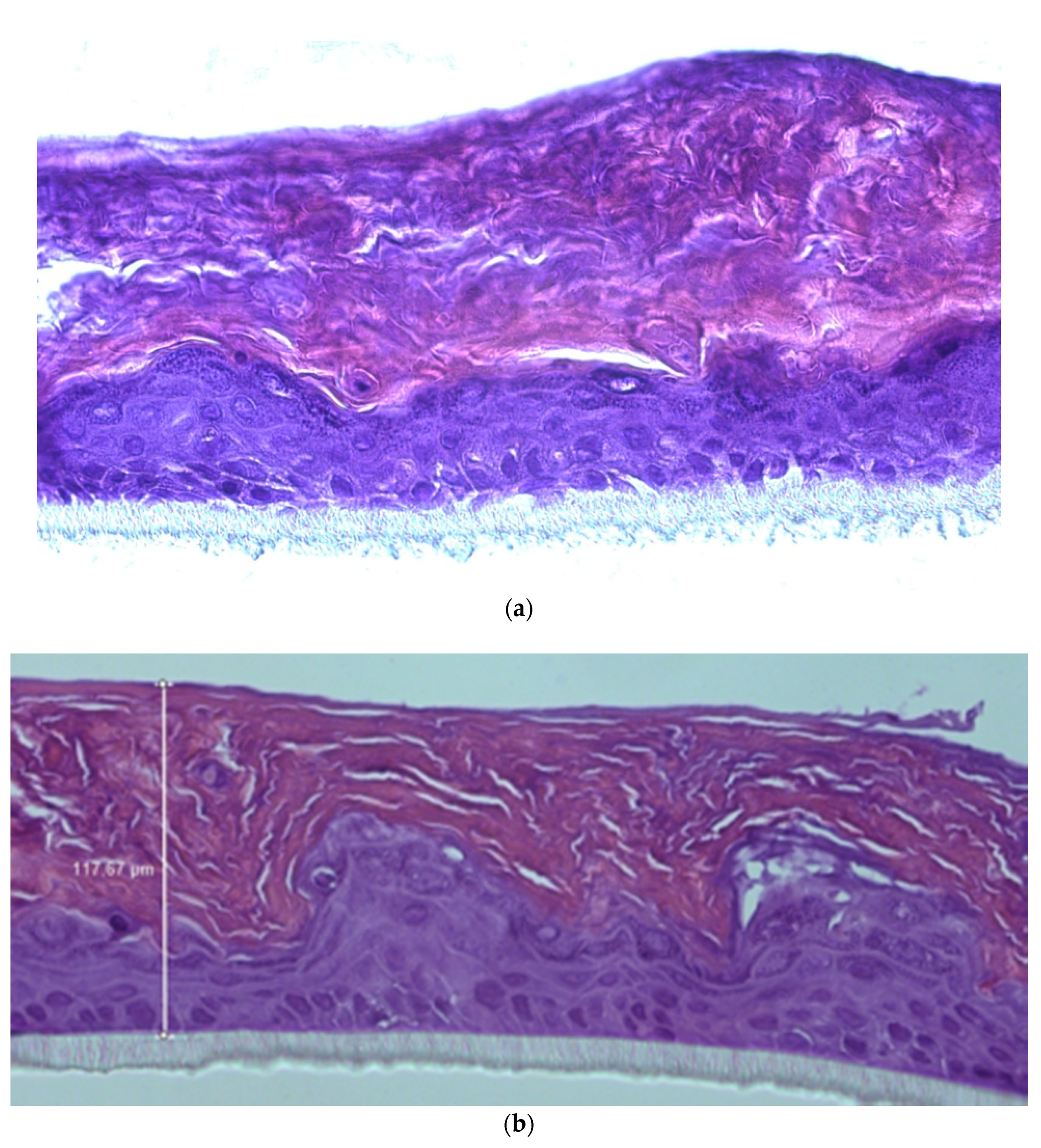 Cosmetics 05 00059 g007