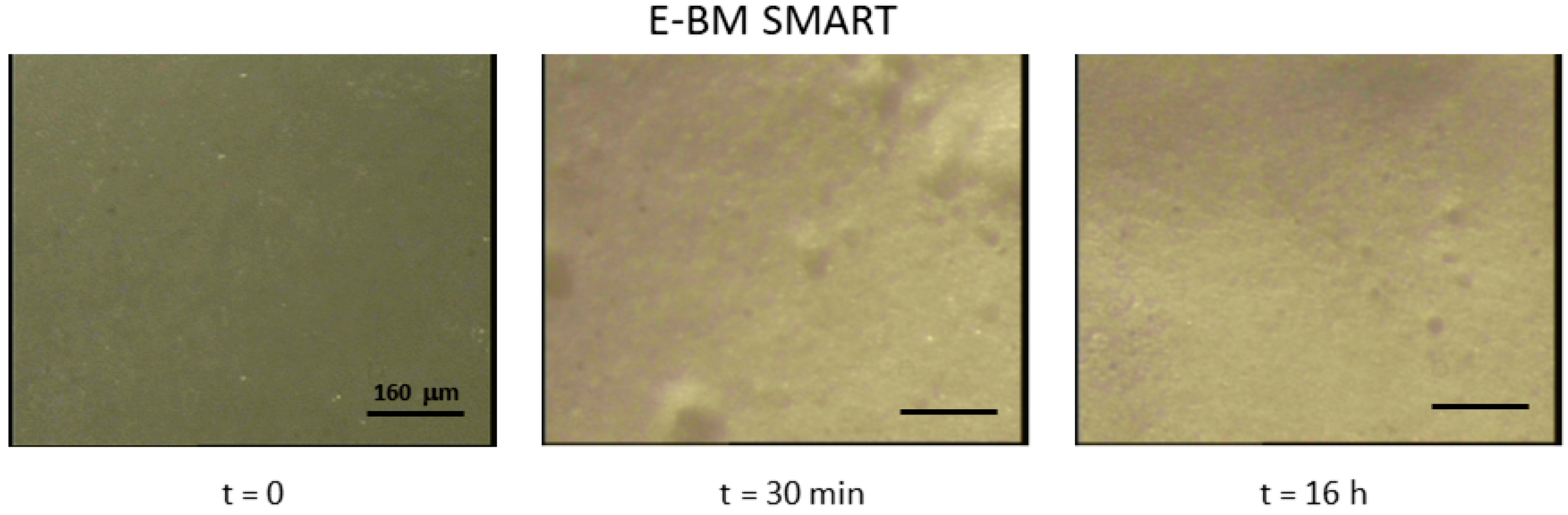 Cosmetics 05 00070 g006