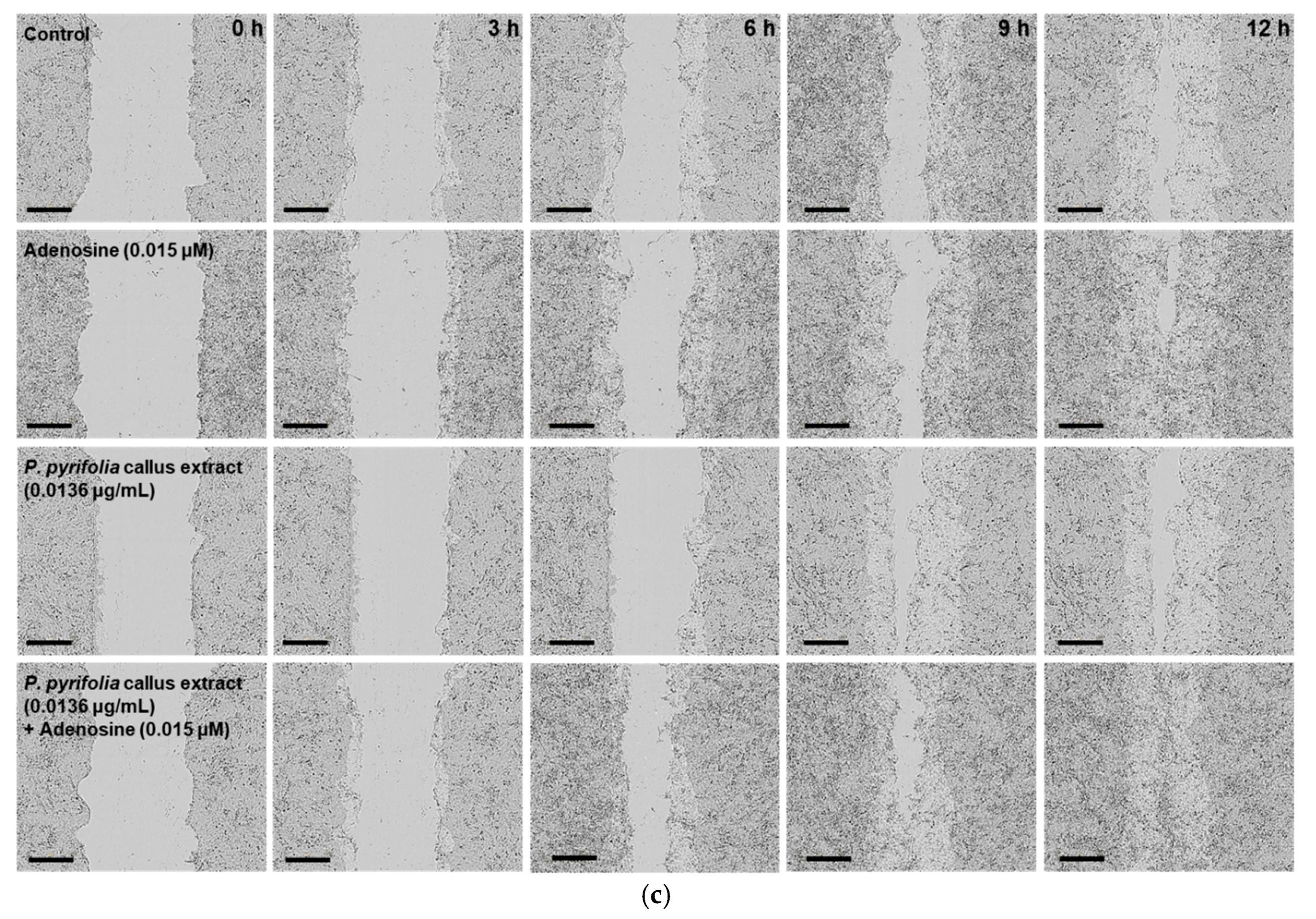Cosmetics 05 00071 g006b Cosmetics 05 00071 g006b