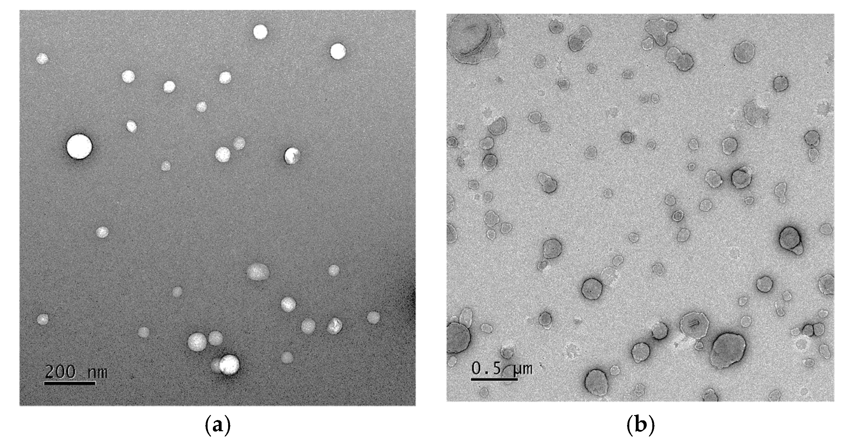 Cosmetics 05 00071 g008 Cosmetics 05 00071 g008