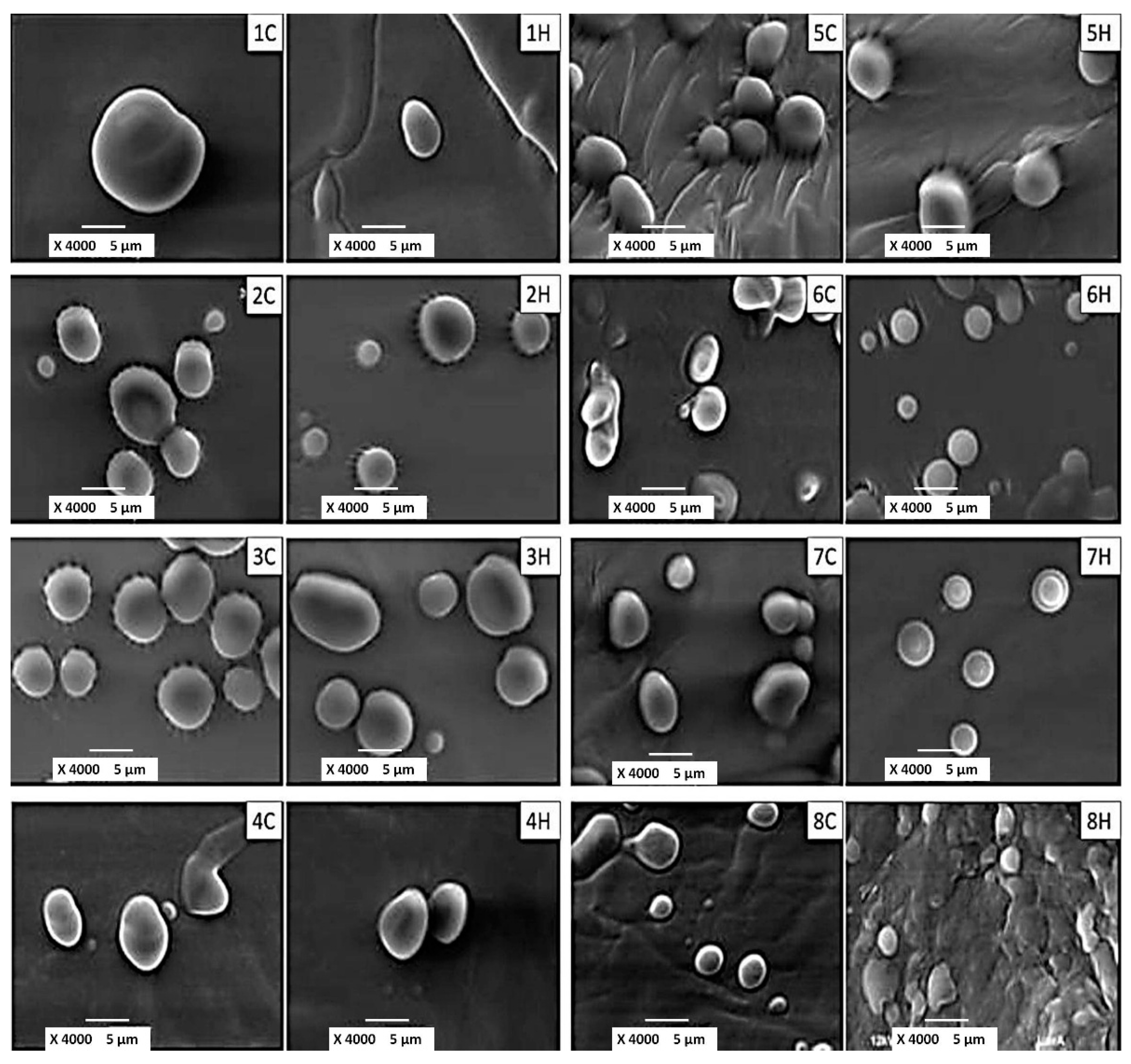 Cosmetics 06 00005 g001 Cosmetics 06 00005 g001