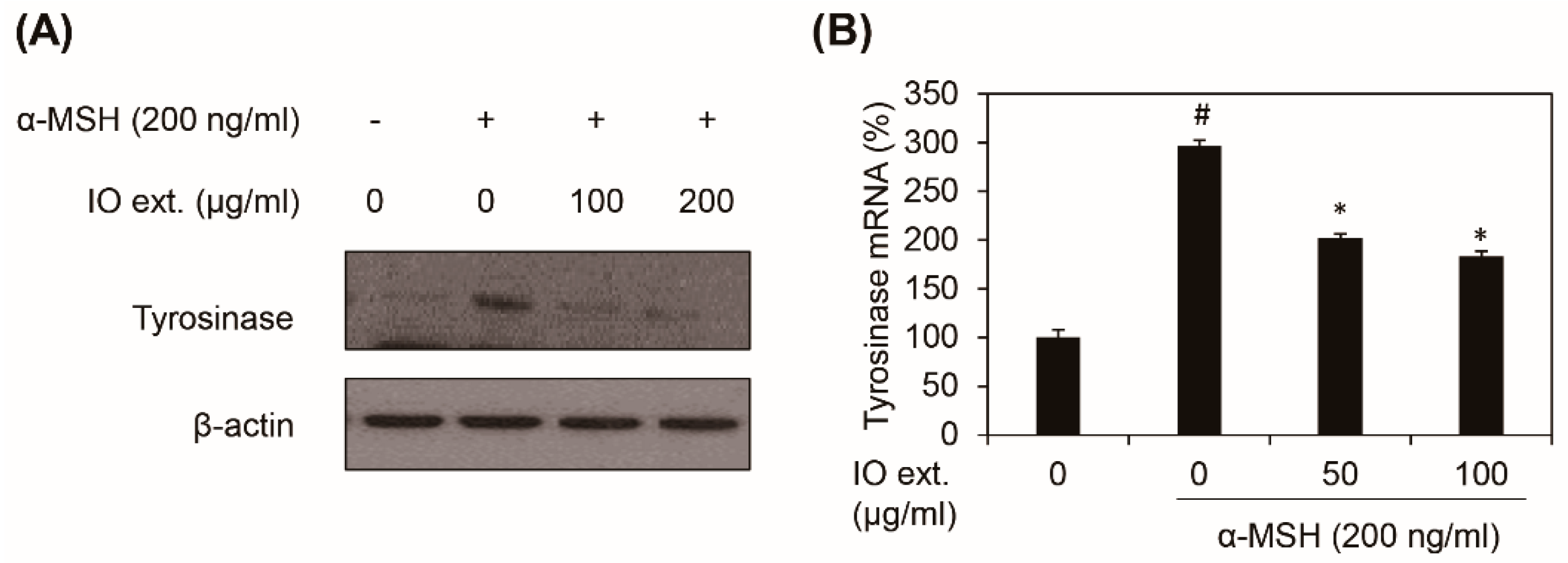 Cosmetics 06 00009 g004 550