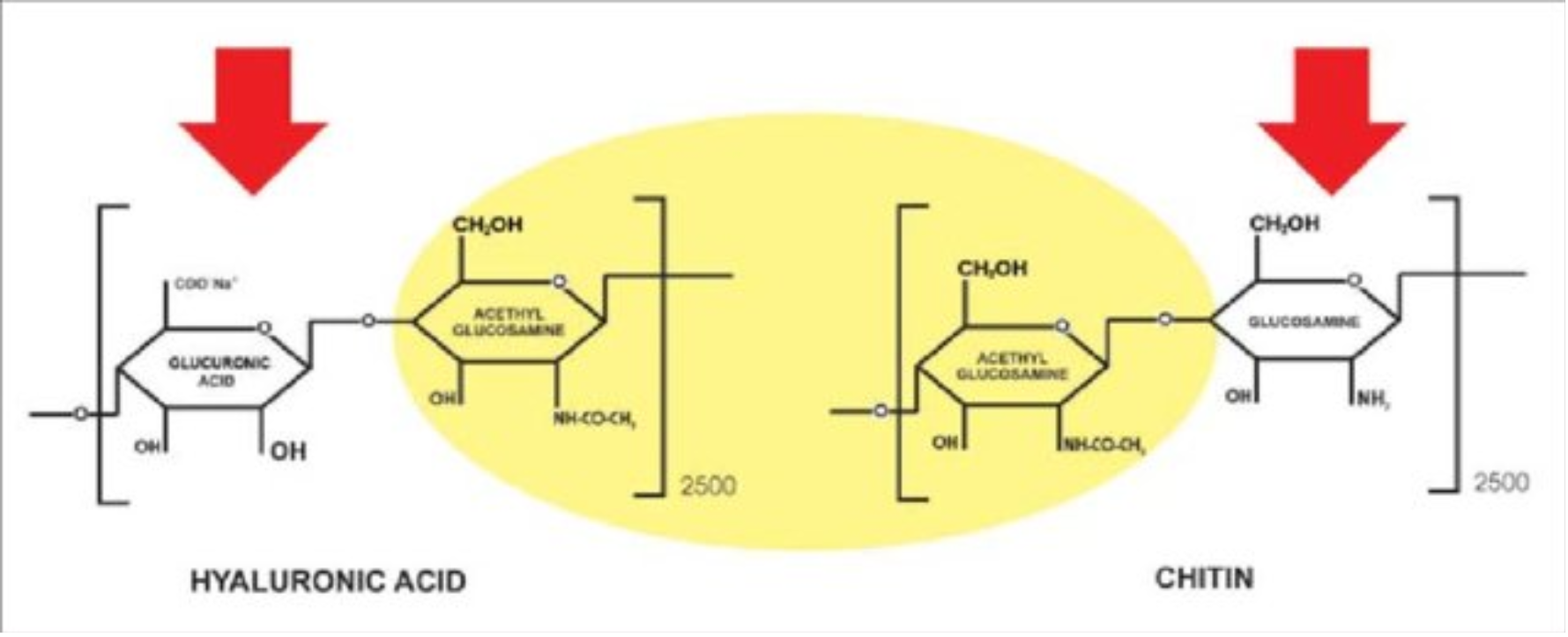 Cosmetics 06 00010 g002
