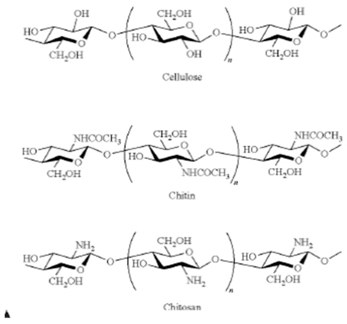 Cosmetics 06 00010 g005