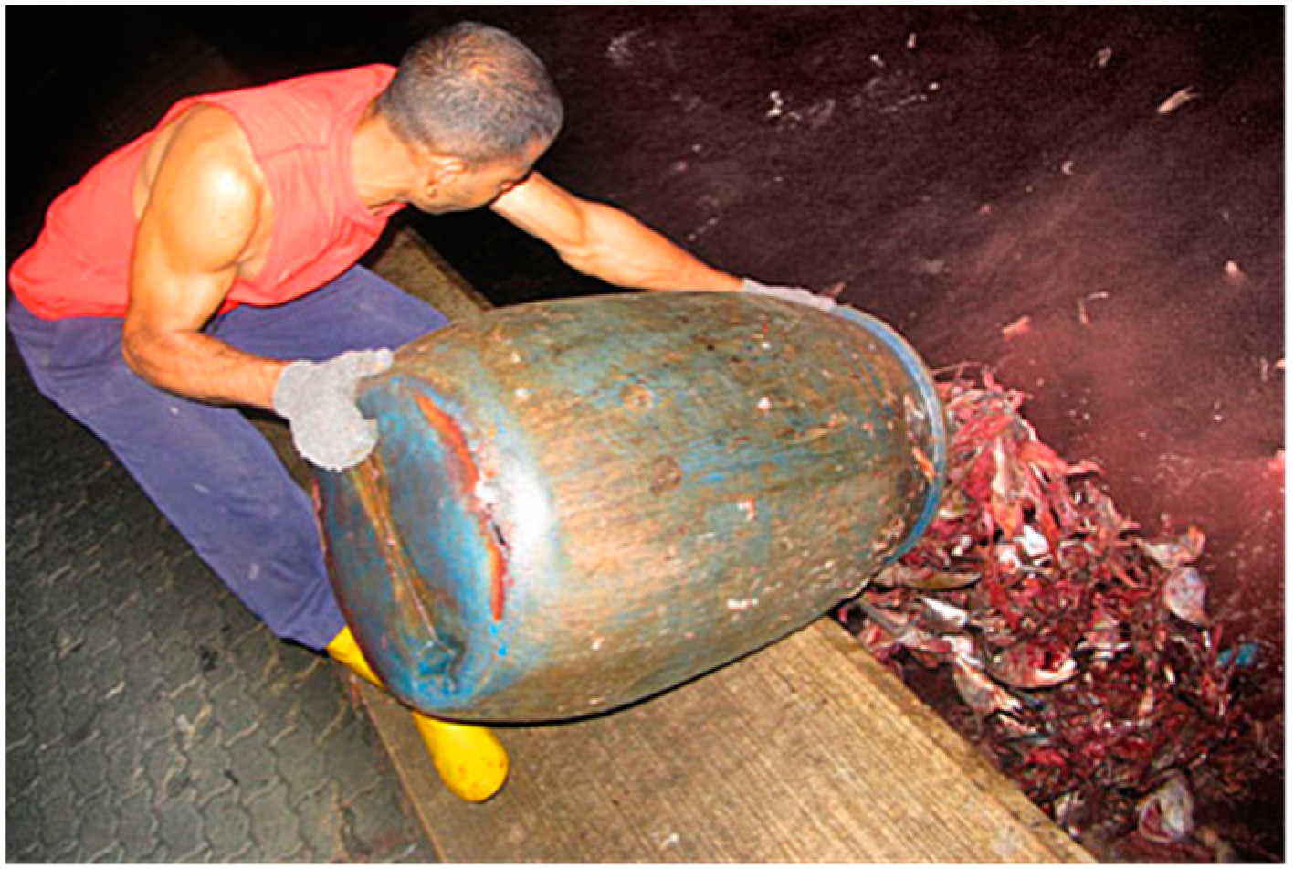 Cosmetics 06 00010 g008