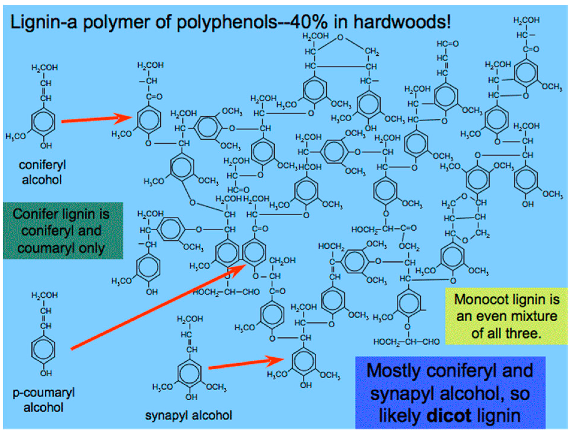 Cosmetics 06 00010 g009