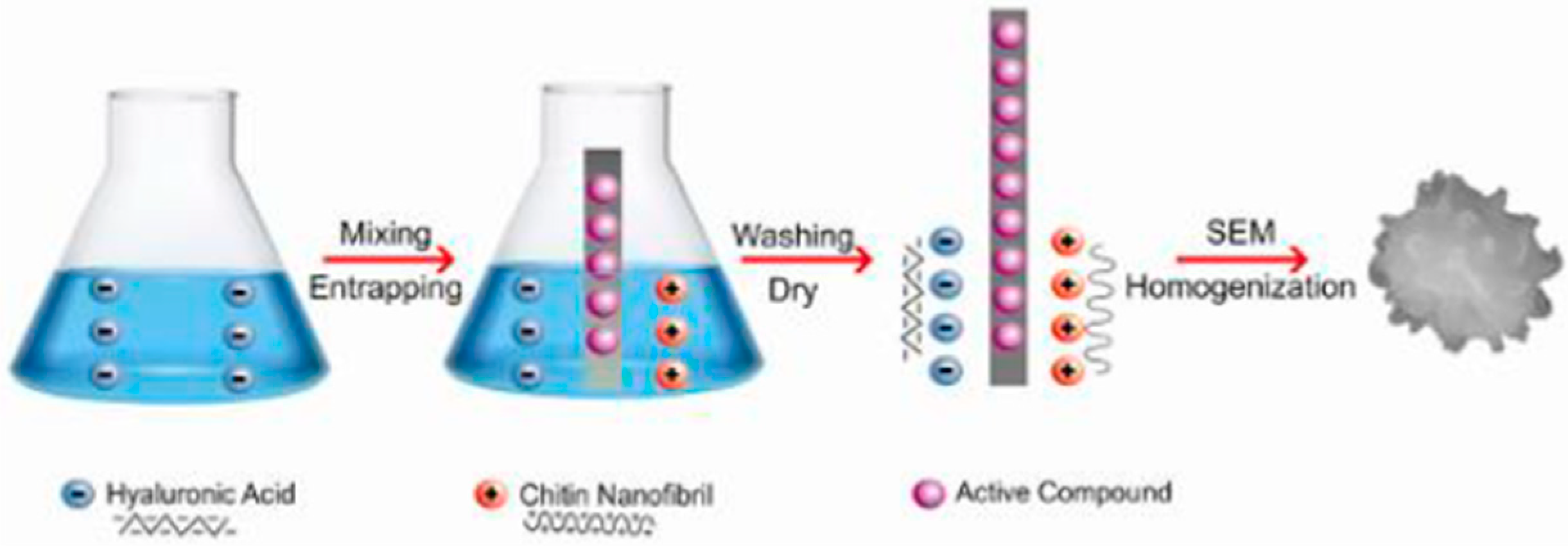 Cosmetics 06 00010 g011