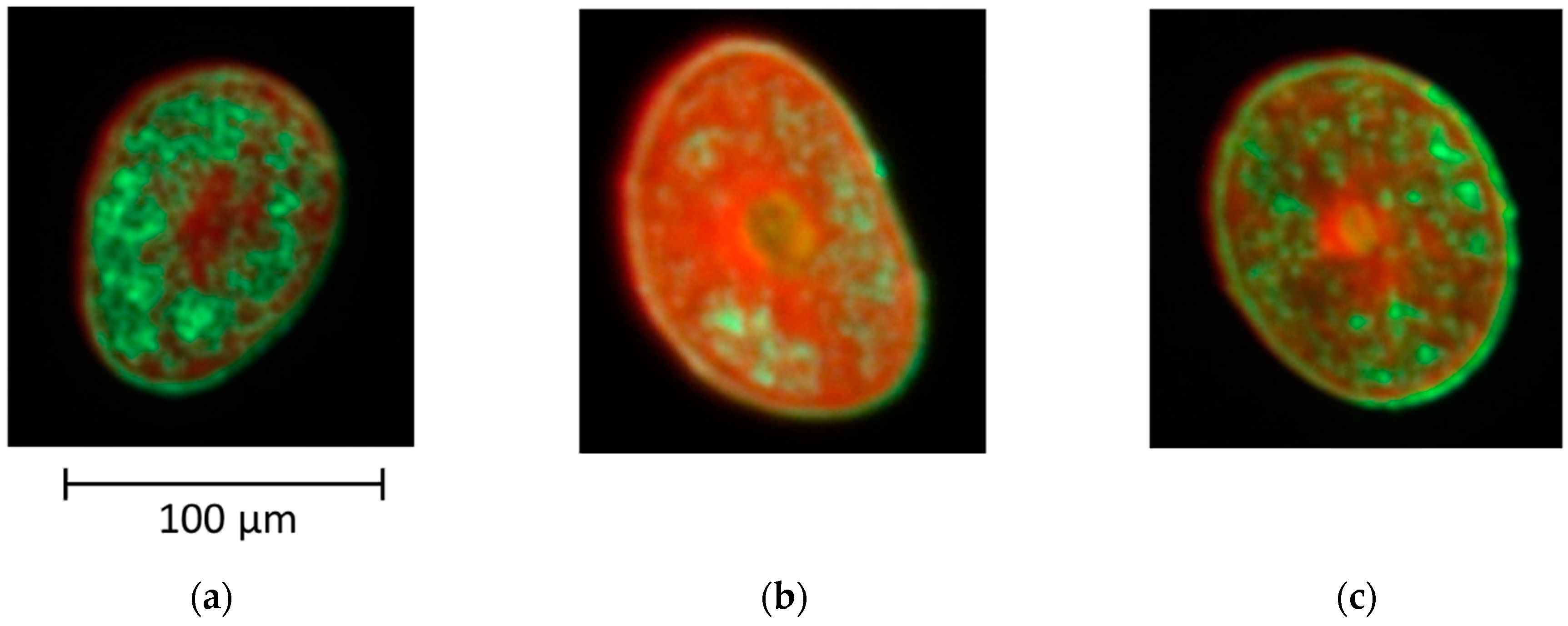 Cosmetics 06 00024 g002