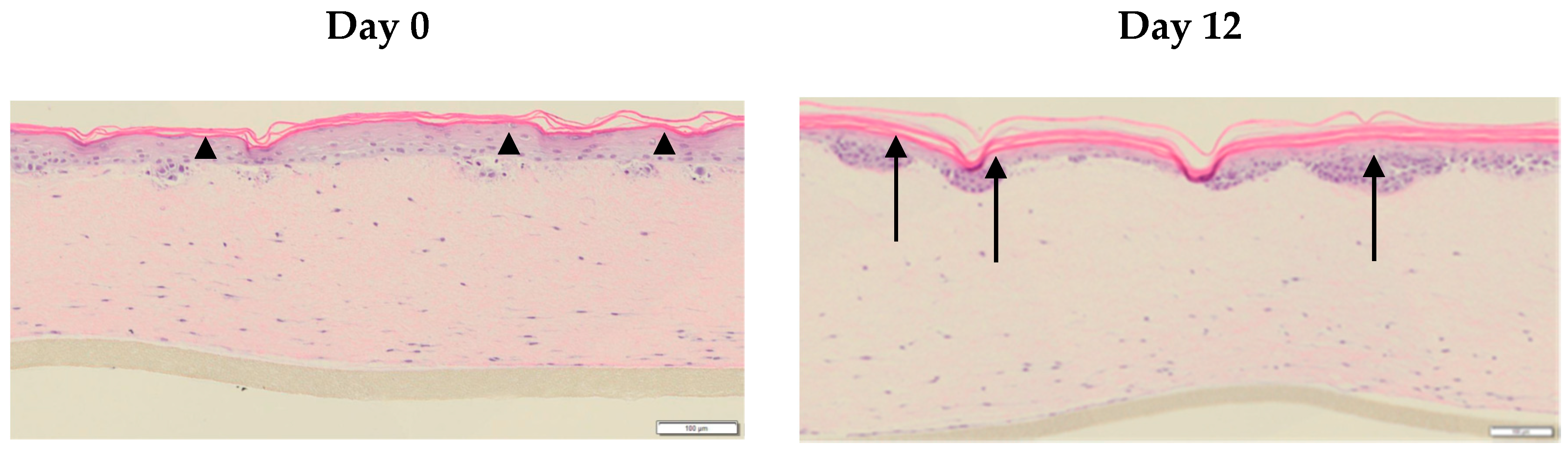 Cosmetics 06 00030 g006 550