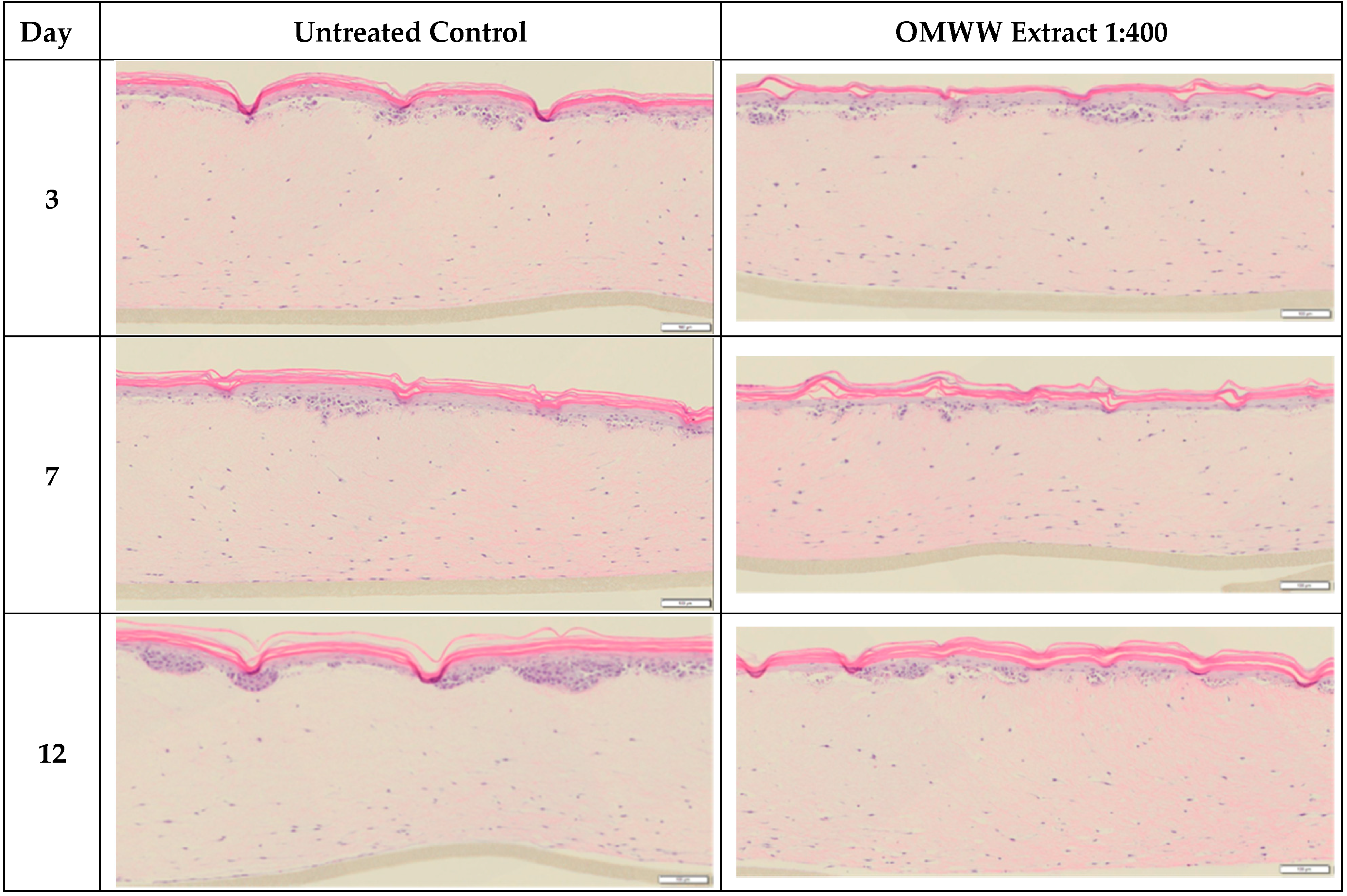 Cosmetics 06 00030 g007 550