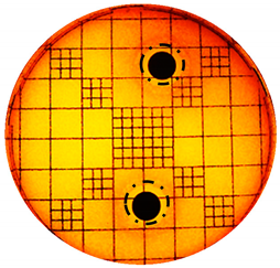 Cosmetics 06 00030 i002