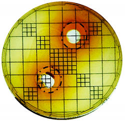 Cosmetics 06 00030 i003