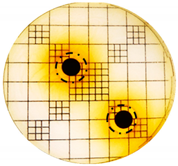 Cosmetics 06 00030 i004