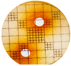 Cosmetics 06 00030 i007