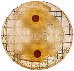 Cosmetics 06 00030 i008