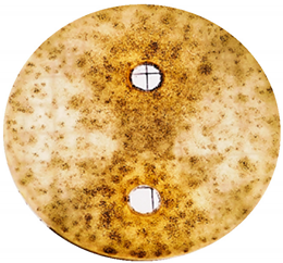 Cosmetics 06 00030 i009