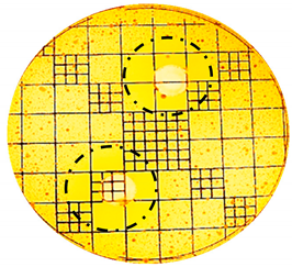 Cosmetics 06 00030 i011