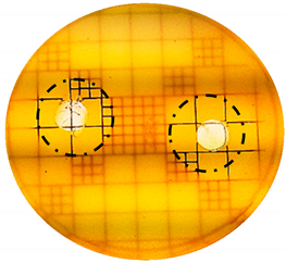 Cosmetics 06 00030 i013