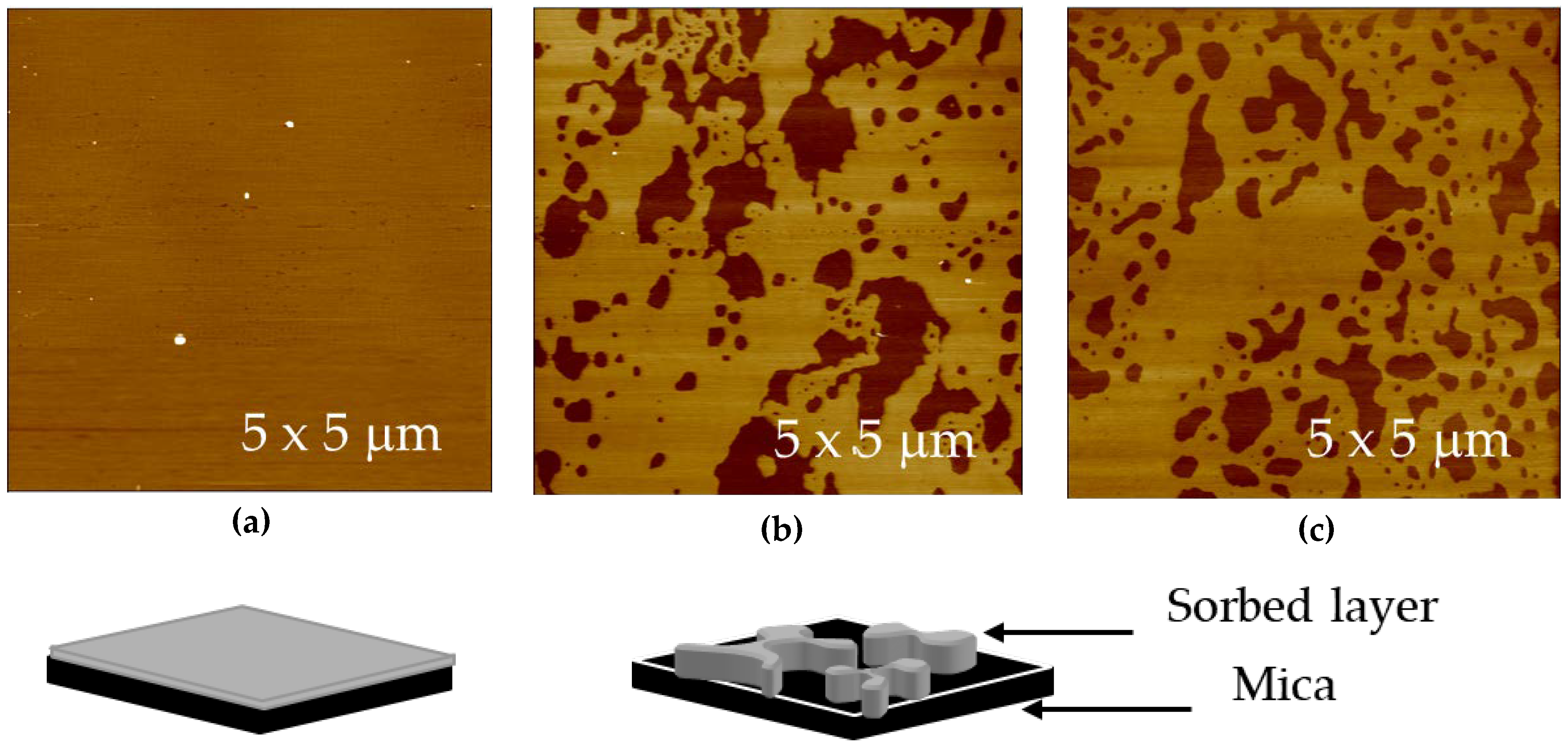 Cosmetics 06 00031 g005 Cosmetics 06 00031 g005